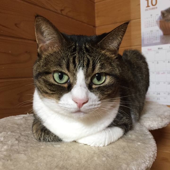 63e41985 a2bb 4e20 ba08 0d3dbea652c4