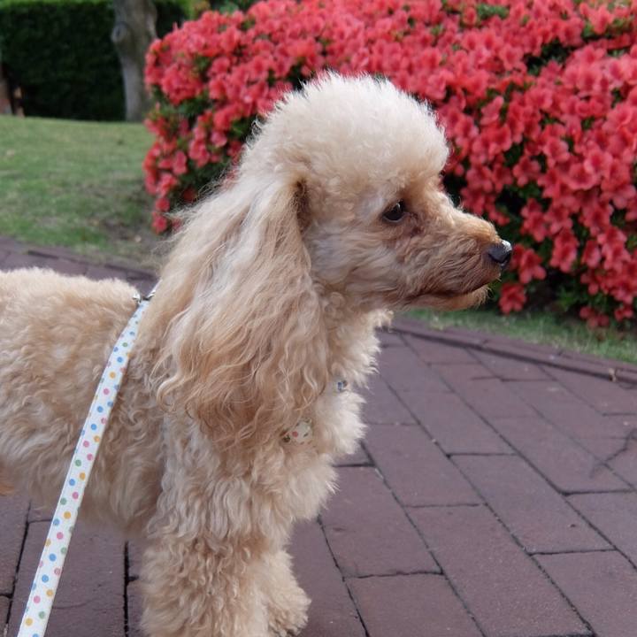 63e433e1 2c82 4b45 bb9a 3cf7f39468ff