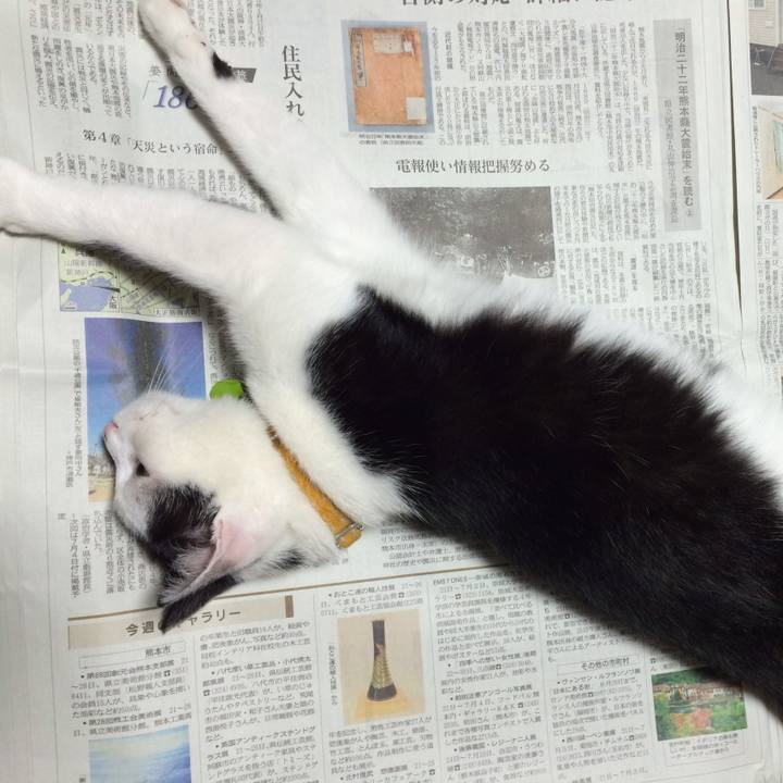 63e448c0 4c2b 4e3d ab5a b792942dd0e6