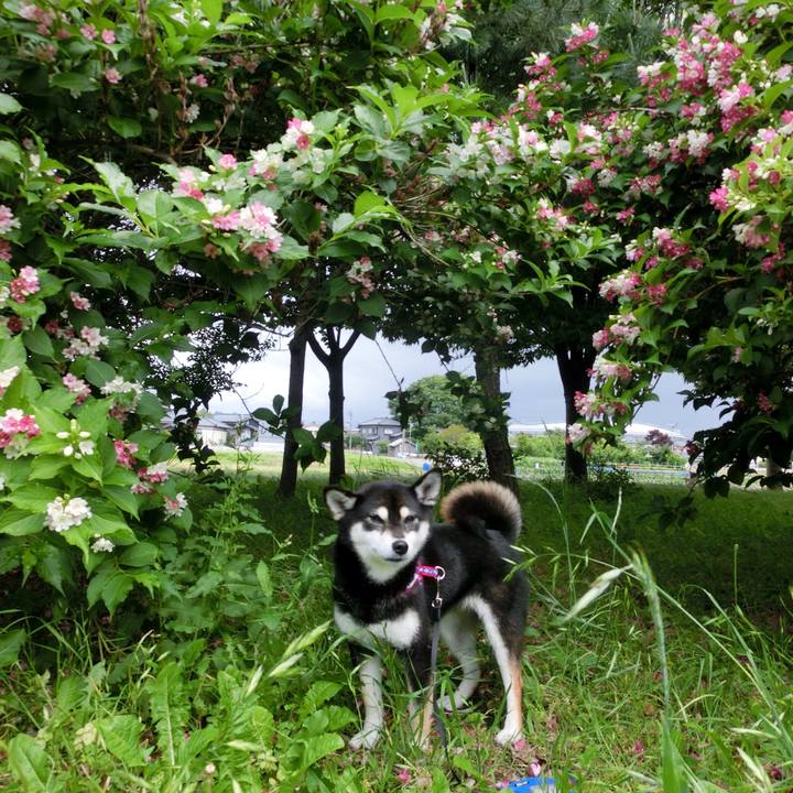 63e481cd 5e78 44d6 b6a2 f5237f56a6de