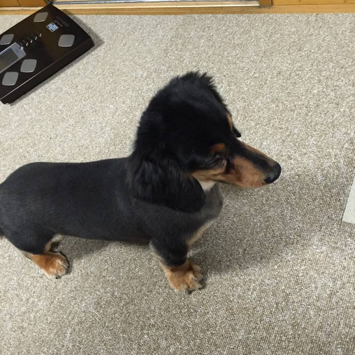 63e48758 848d 4d95 9501 73b8cd2c8f3e