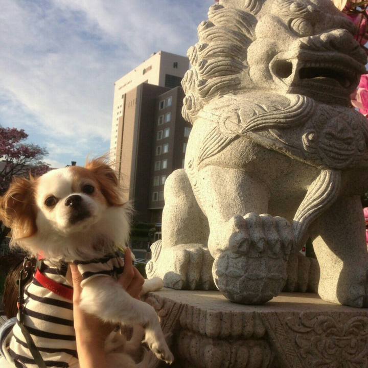 63e4b6b6 2ddb 4f37 abe4 9358325647fd