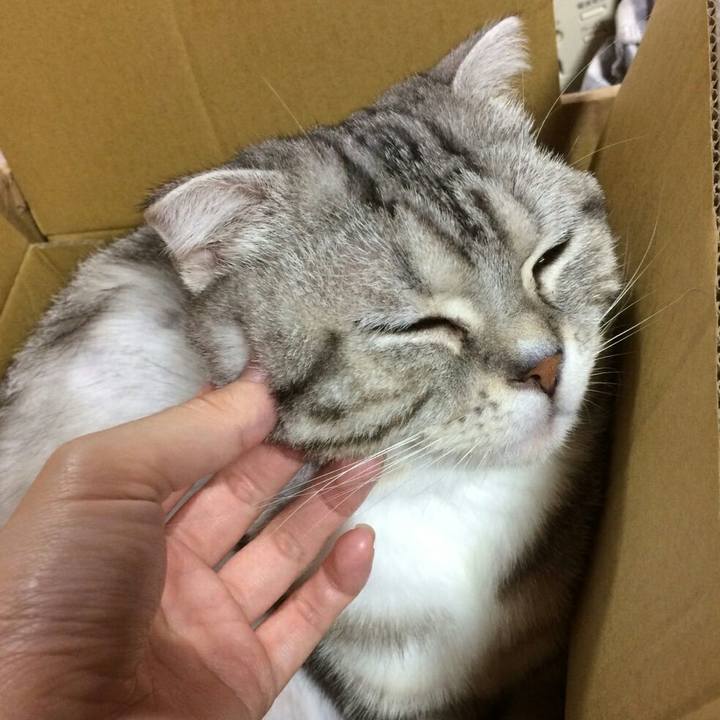 63e553a0 75f4 4a5b 94e0 494f2b51cfe8