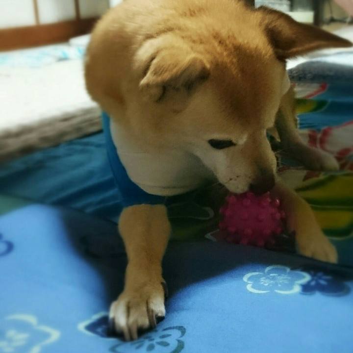 63e55c02 aaa0 4b35 adc2 c1eb72f484cf