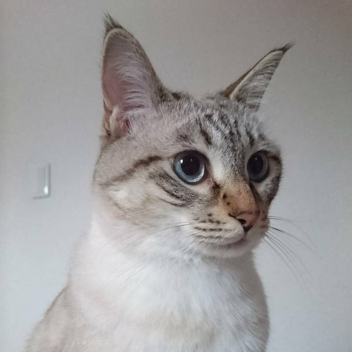 63e61f89 26e5 44e0 a689 a5bd13c19998