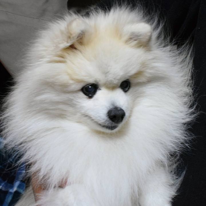 63e740ea 70d7 492f 9fee dae22d5e36f2