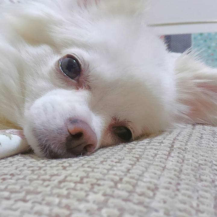 63e80916 6da0 4893 b399 8b48879acc78