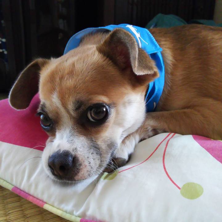 63e8500f 8d1a 4058 a397 ff98acfa61fc