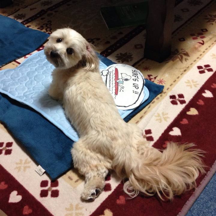 63e852b7 ebe4 4036 a2a1 e44750d96c59