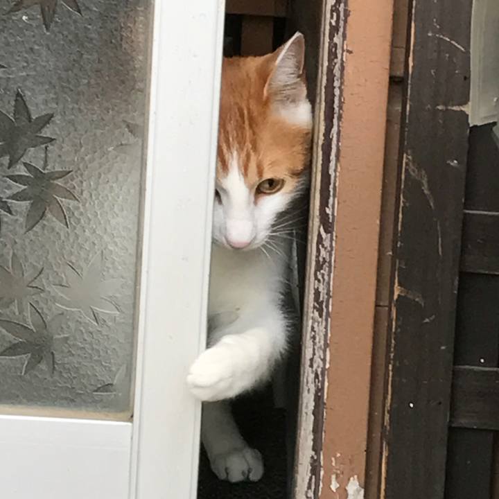 63e857a8 1a80 4c1a b6d4 11a422a9b216