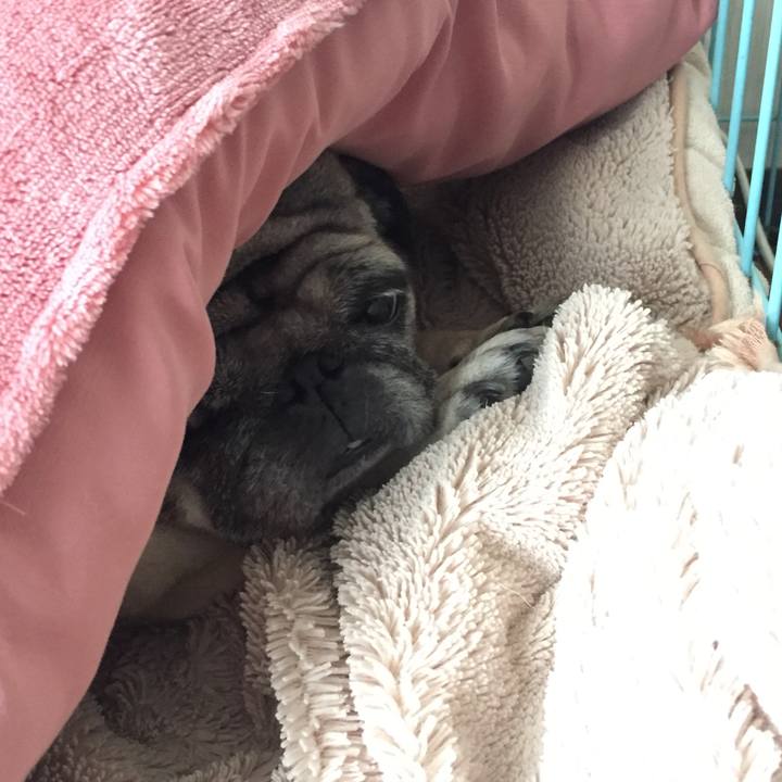 63e9c468 5c13 4648 9379 07efa6b04249