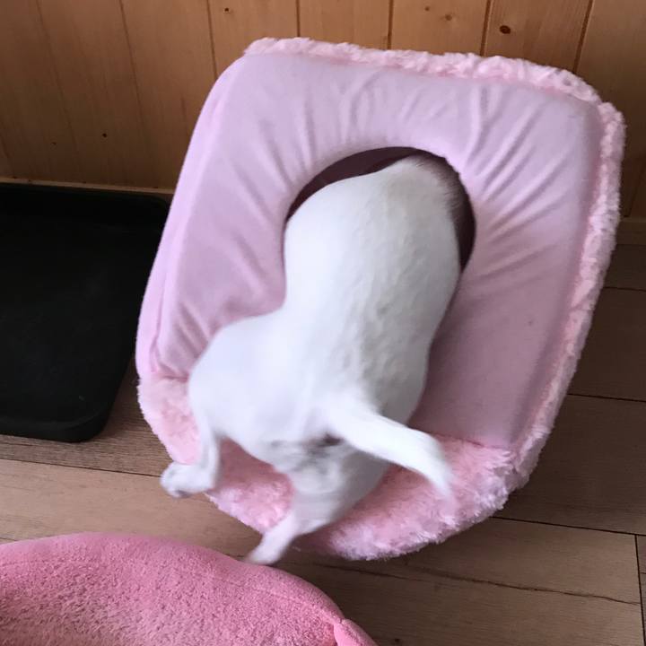 63e9e87a ebf5 4562 8c78 0985bd0c6158