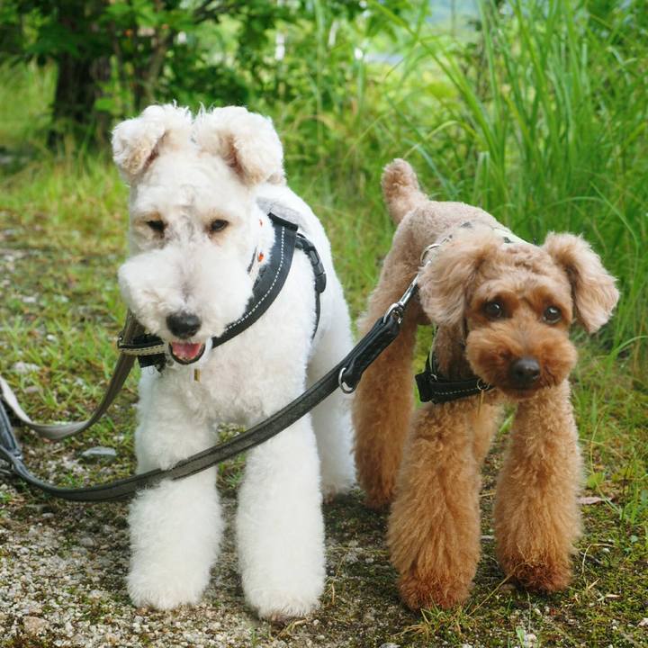 63eb2694 2d83 4eb5 b082 dfc250d1d680