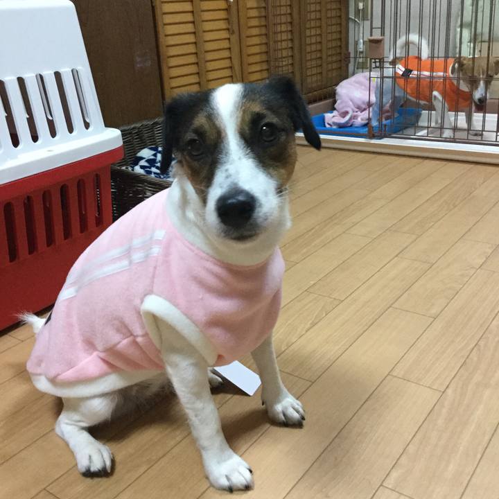 63eb3df2 3c10 491e b8de 9f8b49a446ec