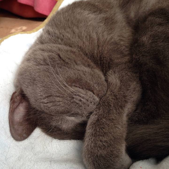 63eb7417 b46a 41b2 8908 e6a18150ab78