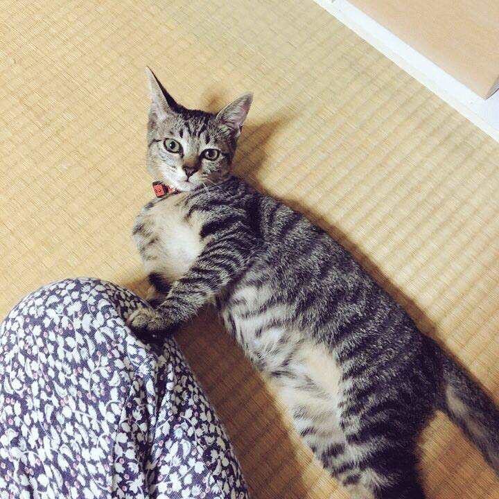 63eb7588 e67c 4d68 9cc2 e8ef0d5af121