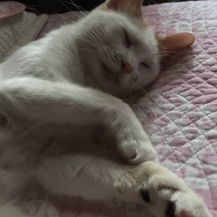 63eb75a3 8672 4594 8b1a 164127b7d2ab