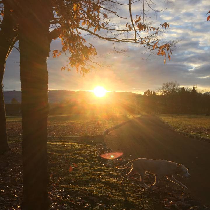 63eb7923 996a 49ca a762 24aa6b11b662