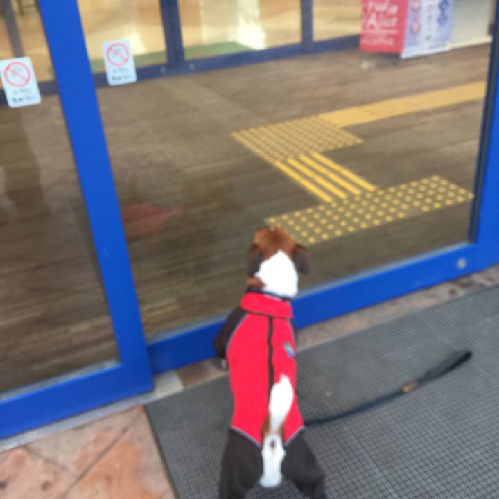 63ebf20c 222d 4aa1 9446 41e94af7b7d7