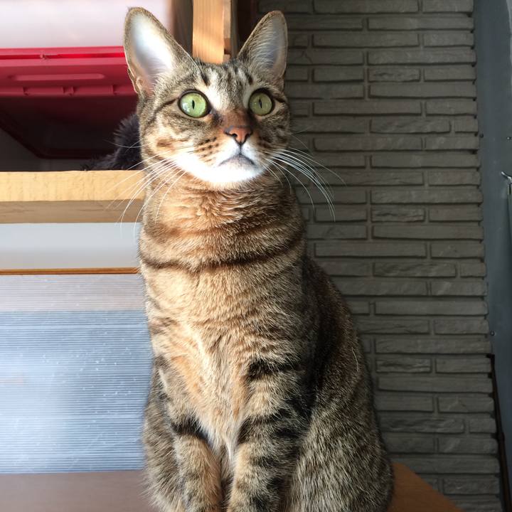 63ec0c2a 8250 4451 a1fe 10dd83f8d16e