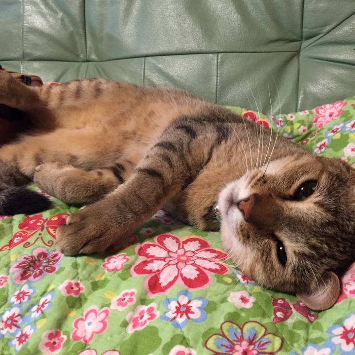 63ec2d08 1a01 4e18 952e eb615868b613