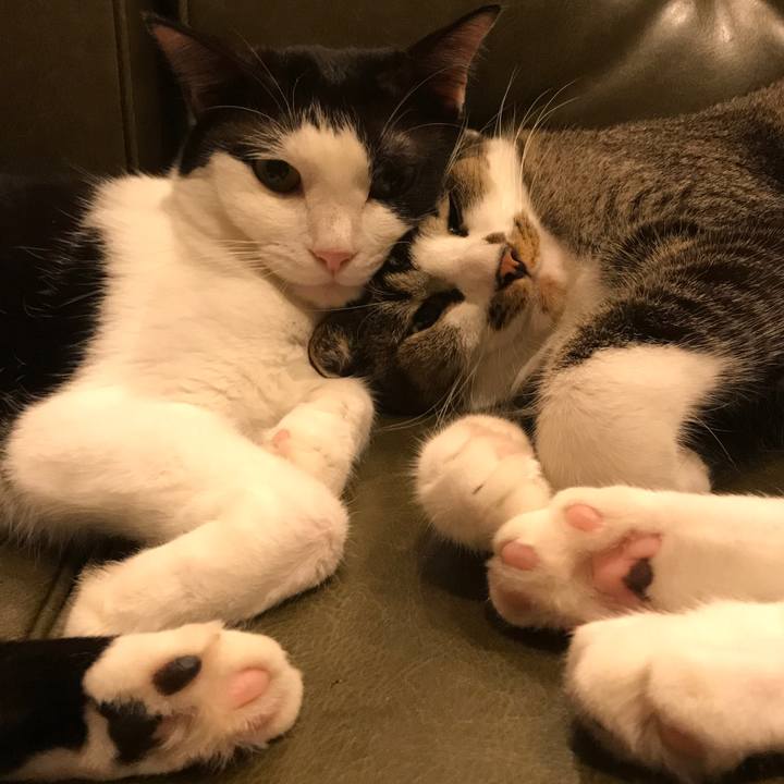 63ec6bfb e318 416c a03d ea84d609949f