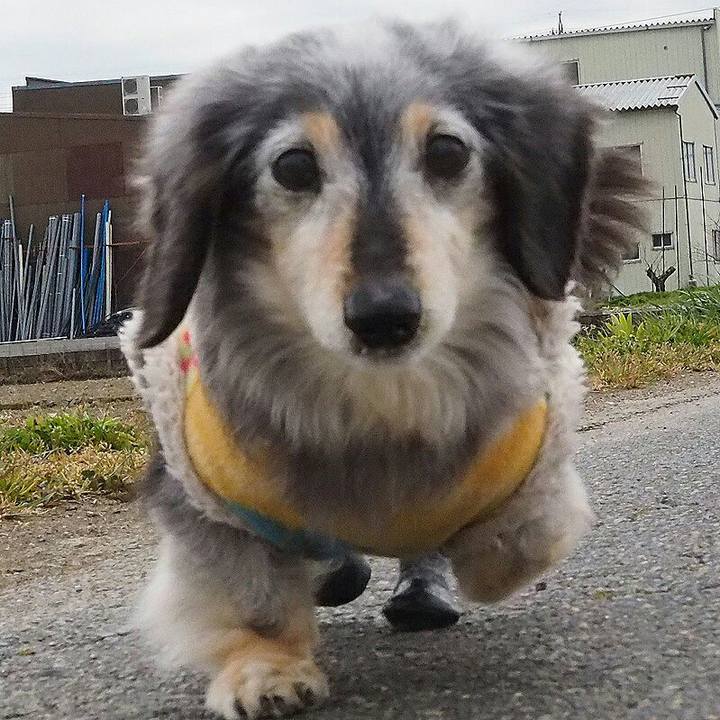 63ed1489 9a1e 40ec b88b 881858bcde25