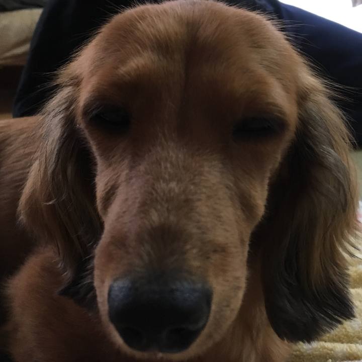 63ed4135 d2cd 4fa9 a3c2 c988cbd2c83f