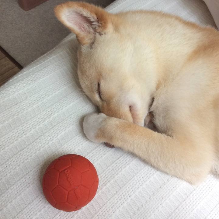 63ed9322 e83d 4529 97c2 604a092af216