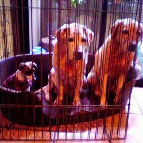 63eda0b1 9b6a 47ba 8e6c 695607a77b91