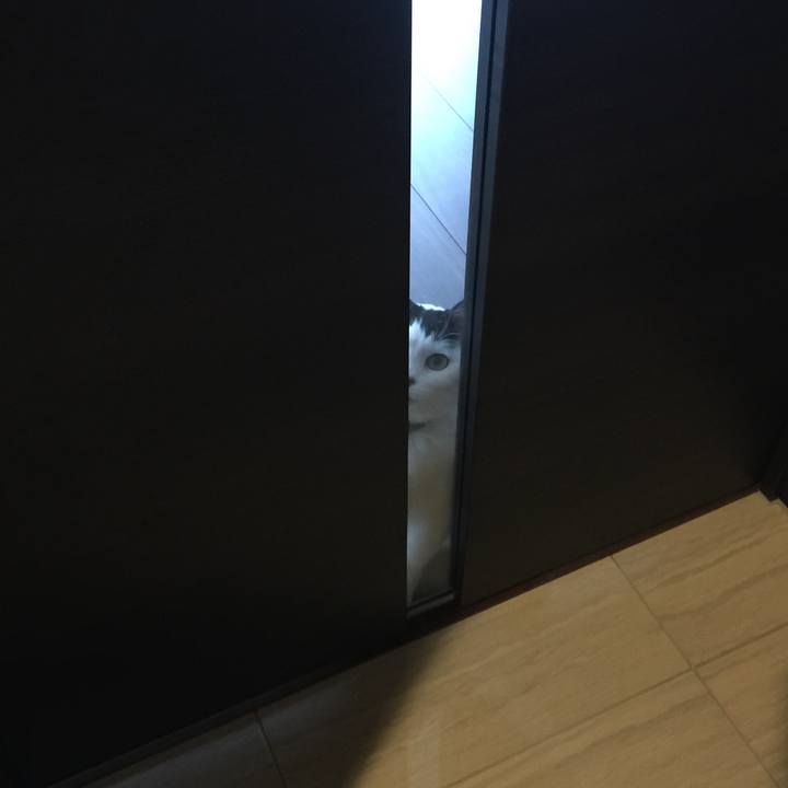 63edf381 c6e0 46c0 8a2d c37126fc9901