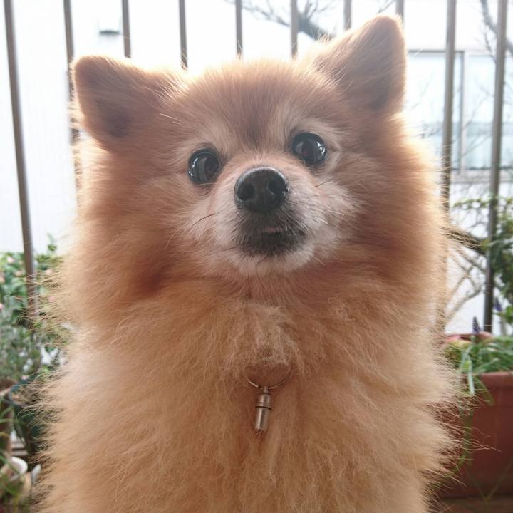 63ee0daf a118 4981 81e9 a2c958df62d2