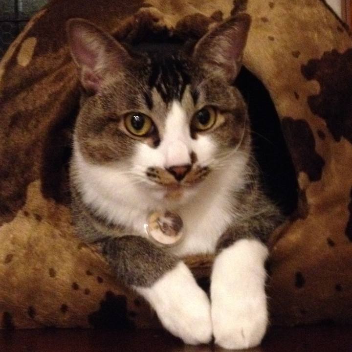 63ee19ed 2f06 4590 9a7a d38e1d5c2aec