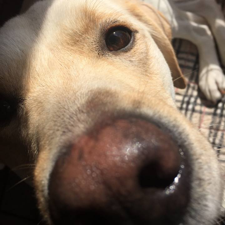 63ee84ef 7f60 4ee6 88df e174e431a7a4