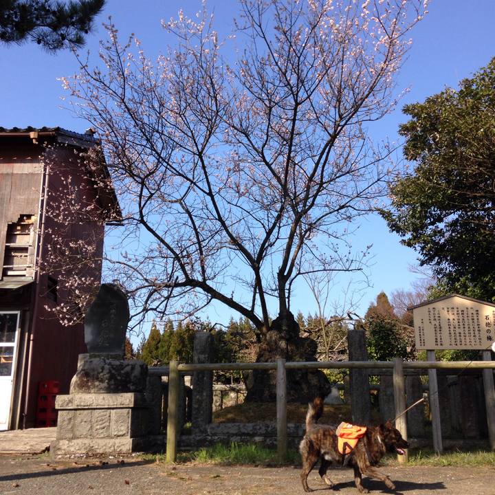 63ef2bc9 d8d2 4b04 ab04 7d311075405b