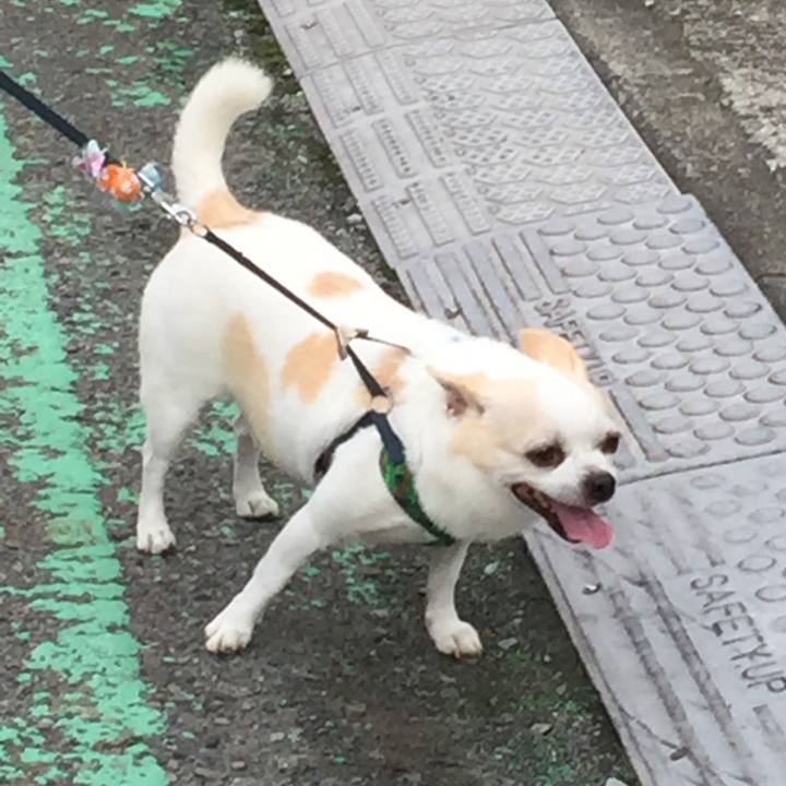 63ef5e12 375c 4423 a50c 2304c8957b7c