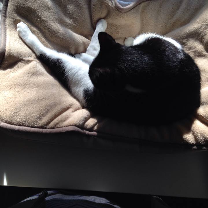 63ef704c d434 436f af53 8ba0daacf814