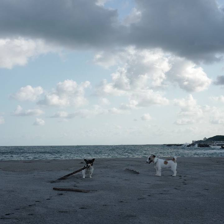 63f0e4d5 329e 4cdb 8ca0 fe17cb4486f1