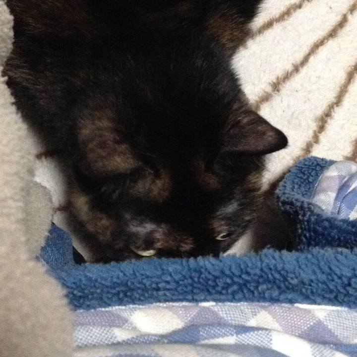 63f12ee1 6f71 4684 8f2a e271a1fbf567