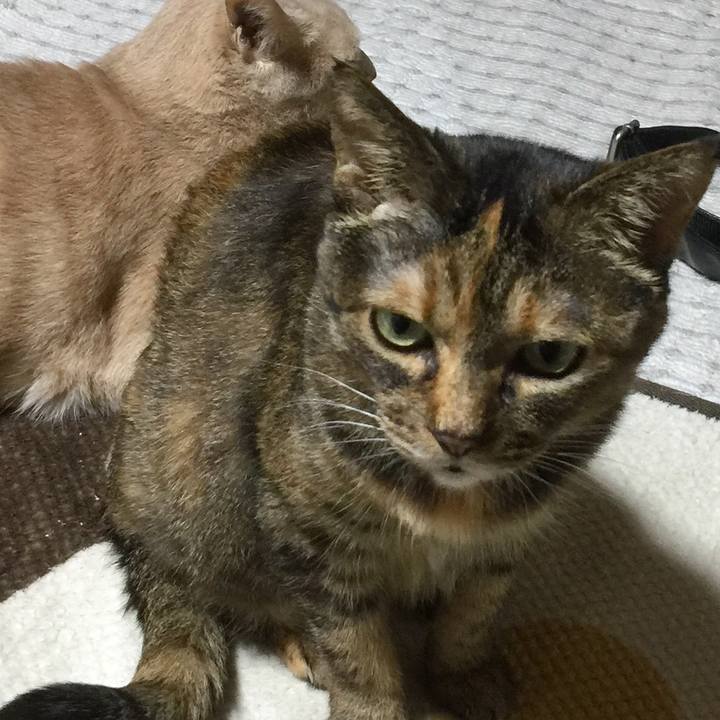 63f1a822 5b40 49c4 bfba 54fdd1256b36