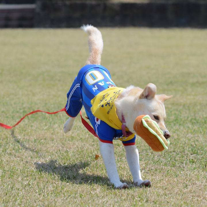 63f1c0e9 ca7a 433f 8fd2 e7e6793042d8