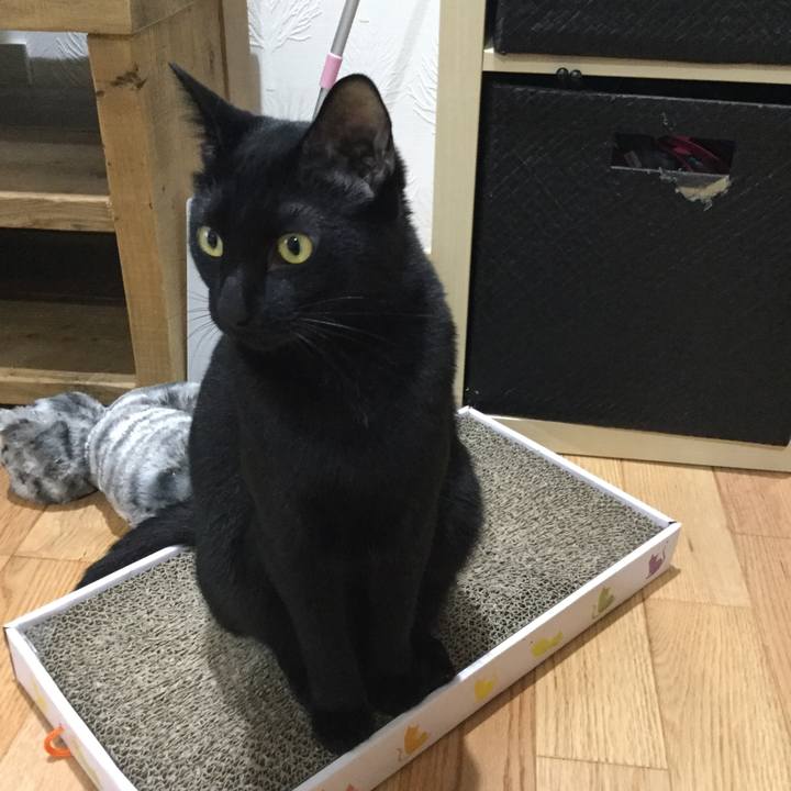 63f20cc1 e974 4d50 b3d5 4de3ffebeb90