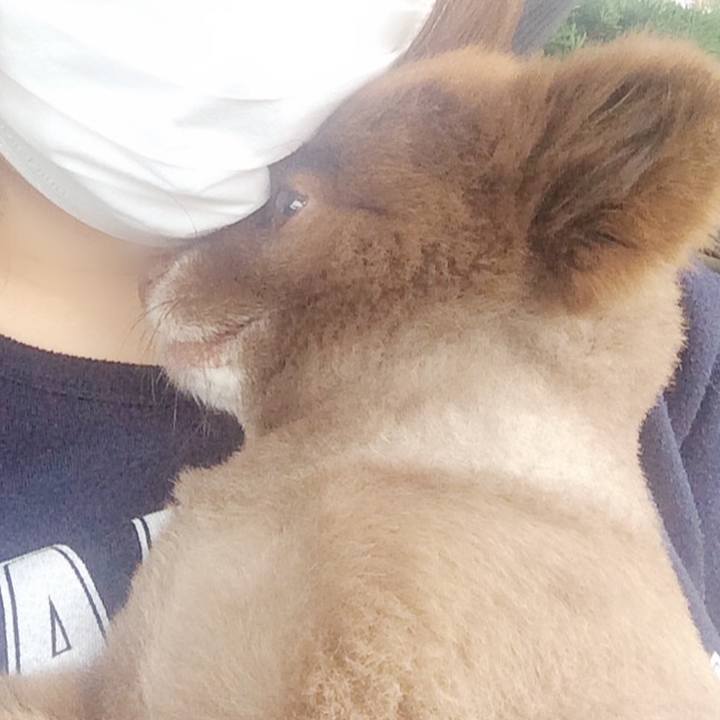 63f242cc 2f05 4ad6 b4fe 5205c298fc59