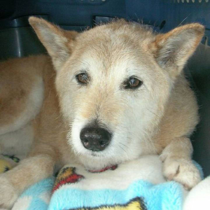 63f323a7 a0fd 48a0 b750 52bf6b3dc070