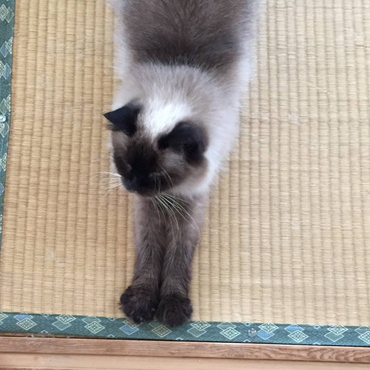 63f36144 095b 4225 b514 1521da296bec