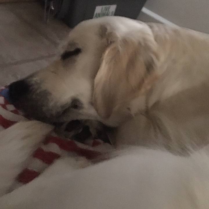 63f3b2da d078 4b83 815a b54f1f960bf1