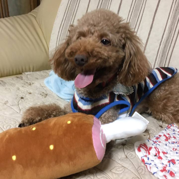 63f3ef1f 8d2b 4d98 a98e eb7fa0f7f54e