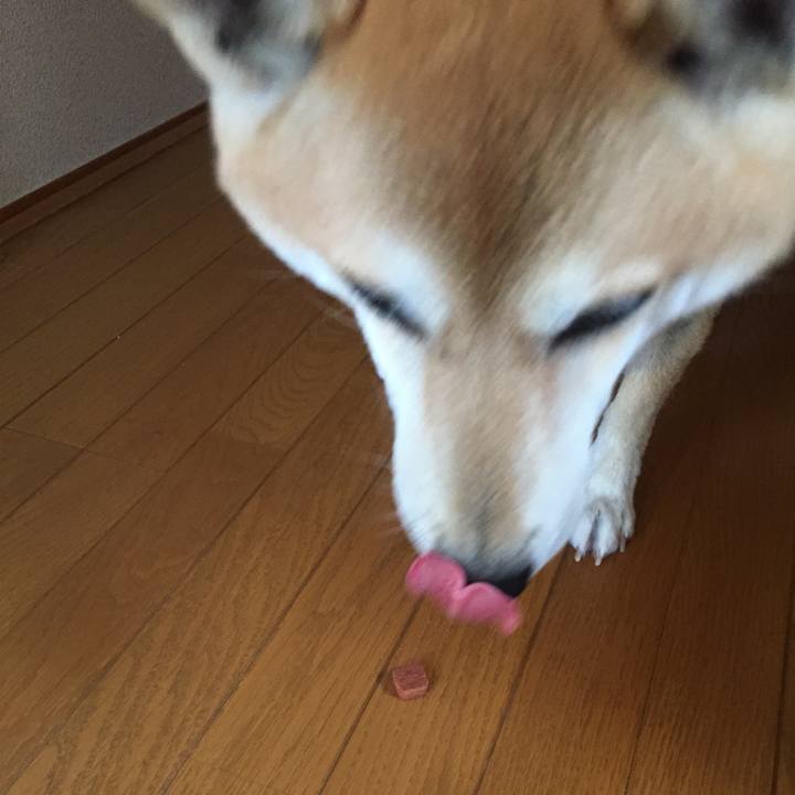 63f44e11 9034 4528 9ae5 39dbbf8eceec