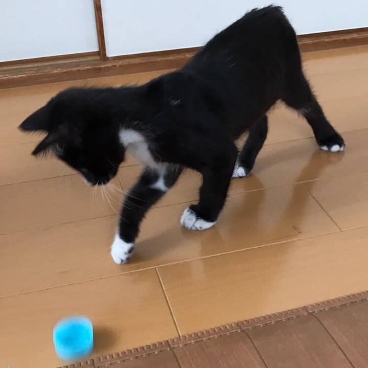 63f4719e d712 443d a84f f6ea46730fb0