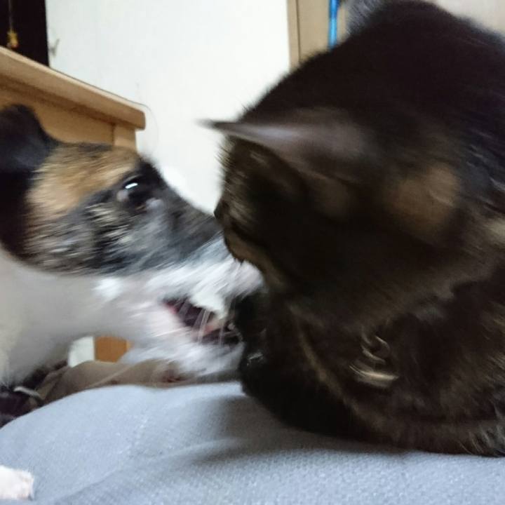 63f472c9 c7a1 4348 b480 f1c90a544a24